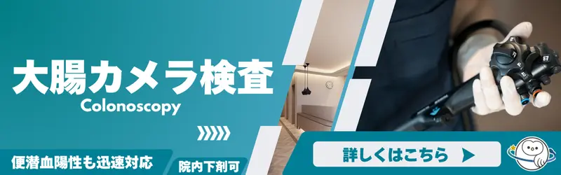 大腸カメラ検査