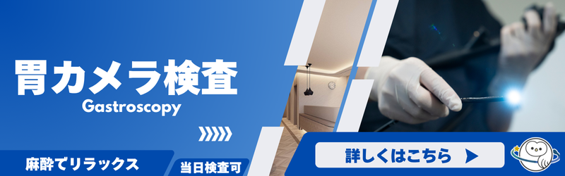 胃カメラ検査のご案内
